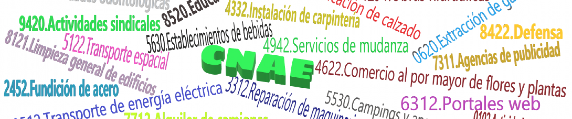 cnae_2009_portada